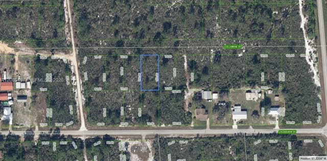 1507 Columbine Street, Lake Placid, FL 33852