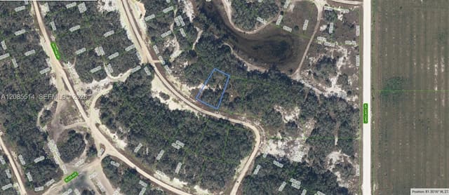 213 Dargen Drive, Lake Placid, FL 33852