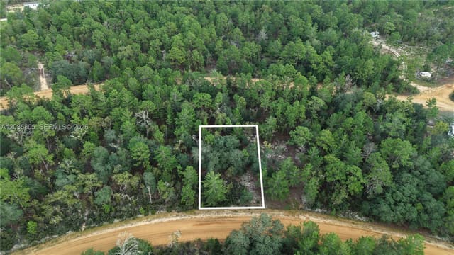 215 Lake Lucy Circle, FL 32148