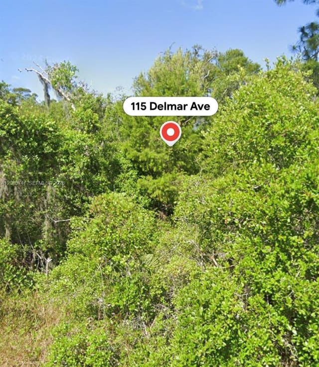 115 Delmar Avenue, Lake Placid, FL 33852