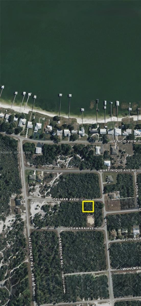 115 Delmar Avenue, Lake Placid, FL 33852 photo 3