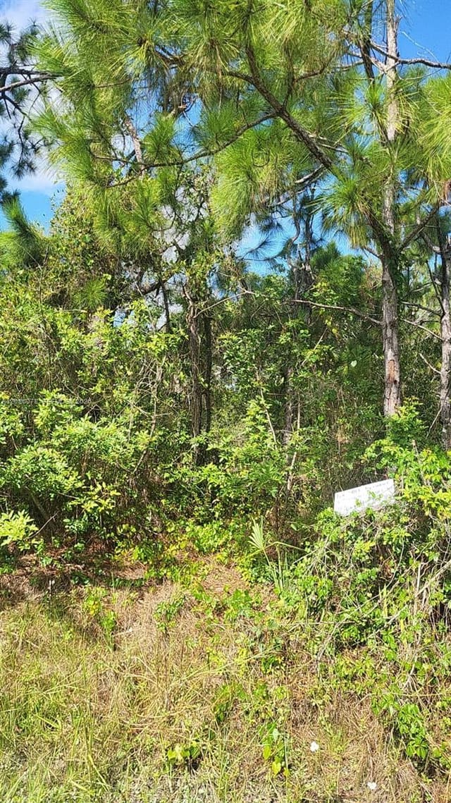 29256 Maris Drive, Punta Gorda, FL 33982