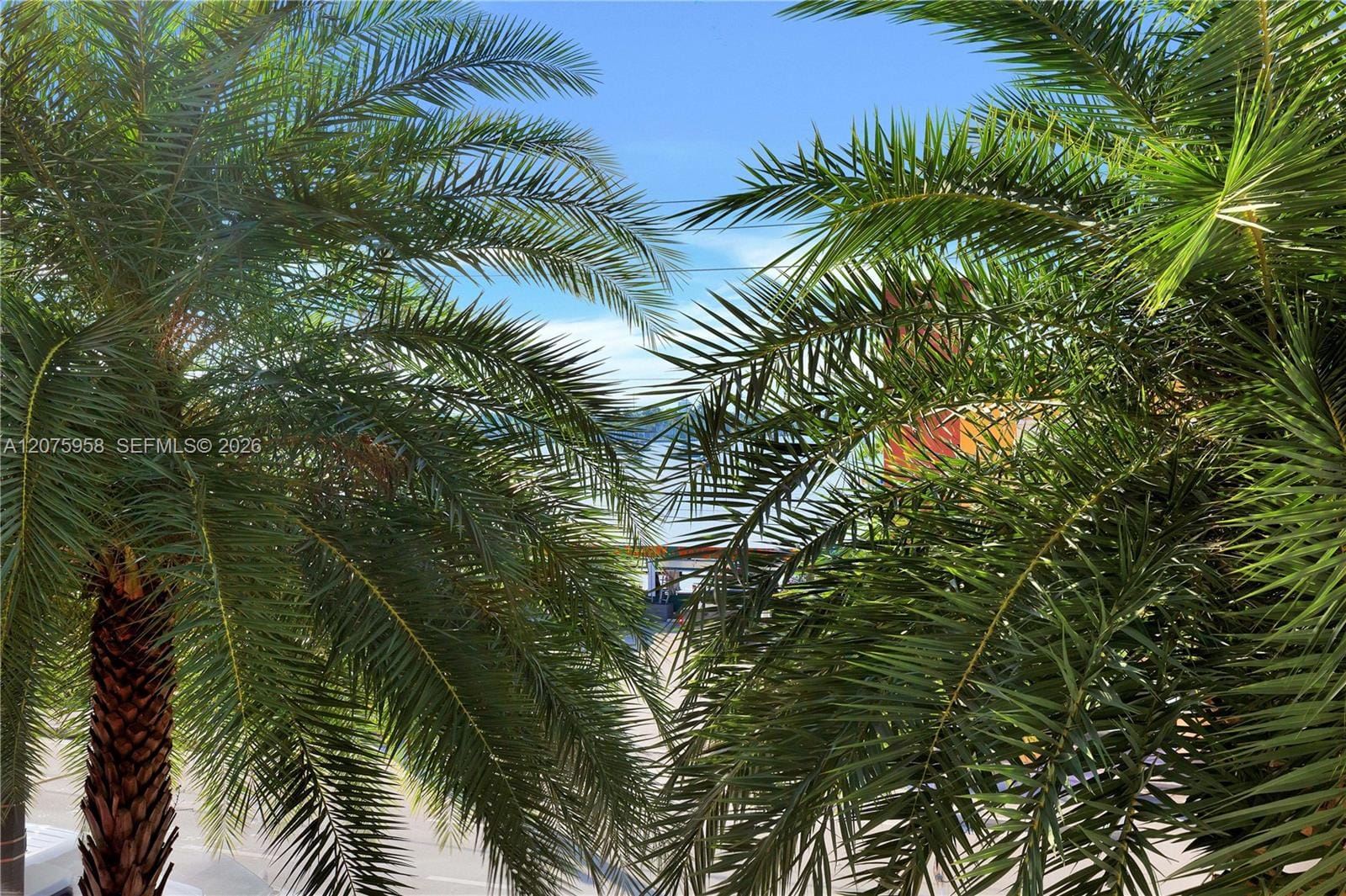 777 N Ocean Drive N227, Hollywood, FL 33019 photo 21