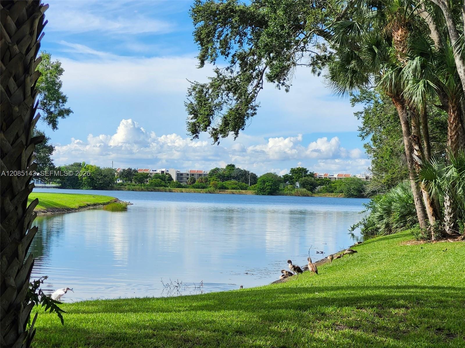 2440 NW 33rd Street 1803, Oakland Park, FL 33309 photo 18