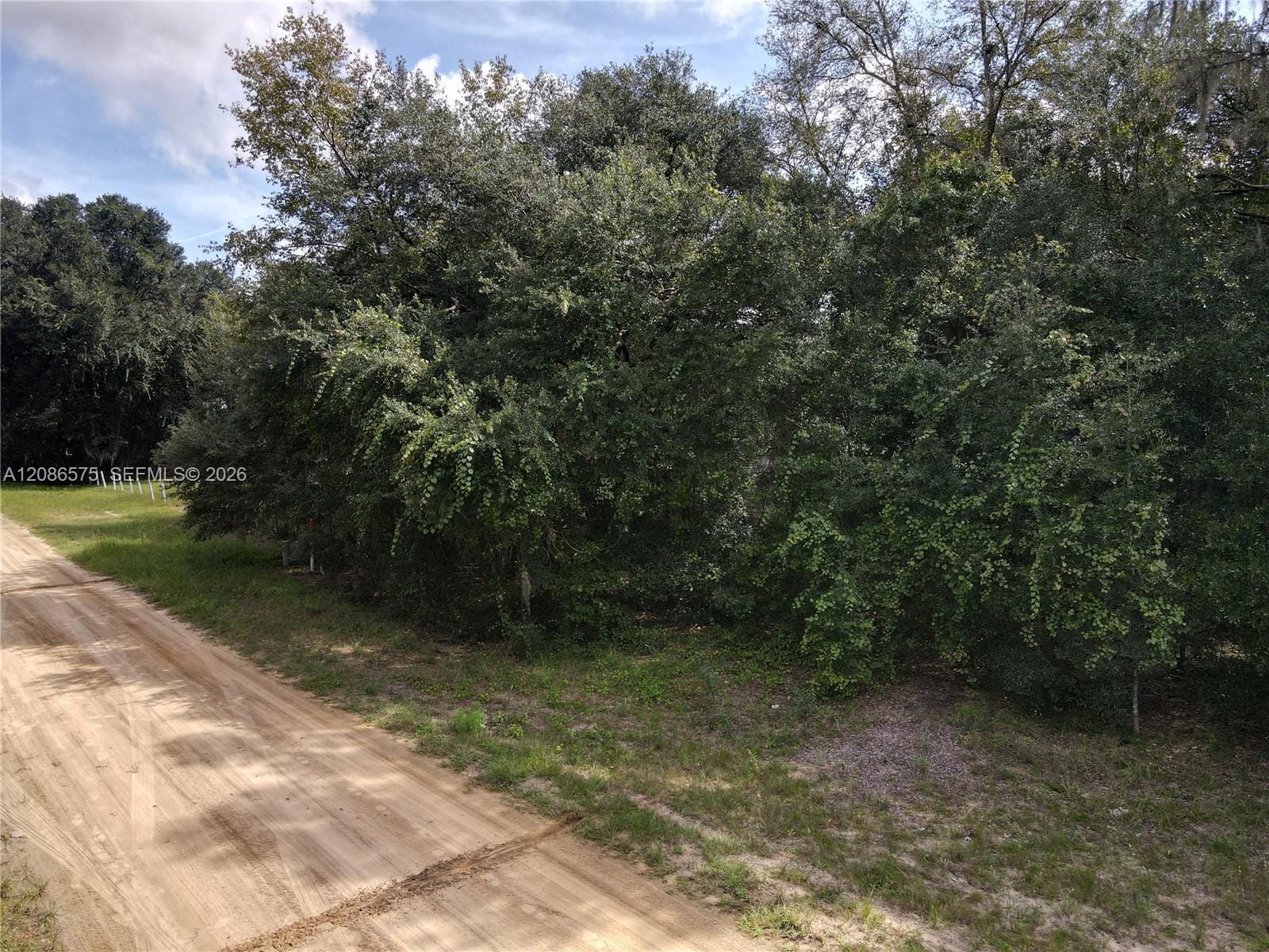 104 Gunner Avenue, FL 32148 photo 24