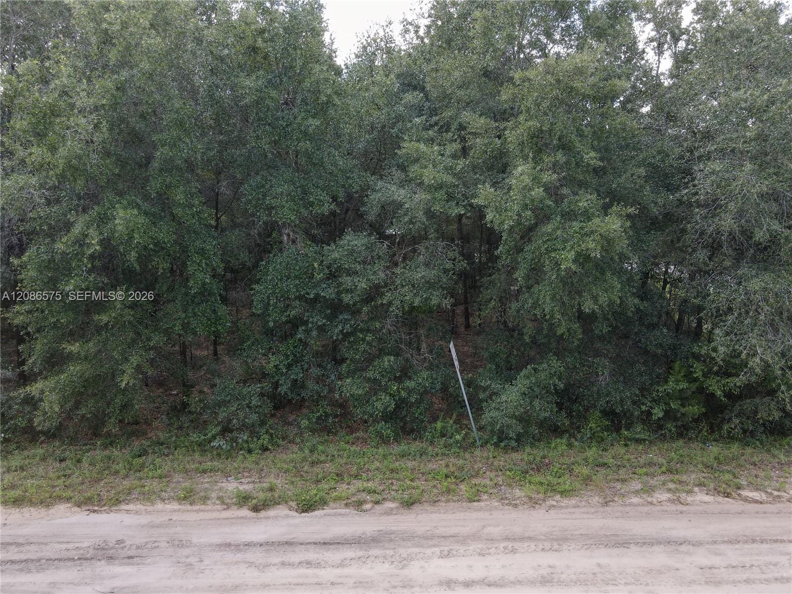 104 Gunner Avenue, FL 32148 photo 4