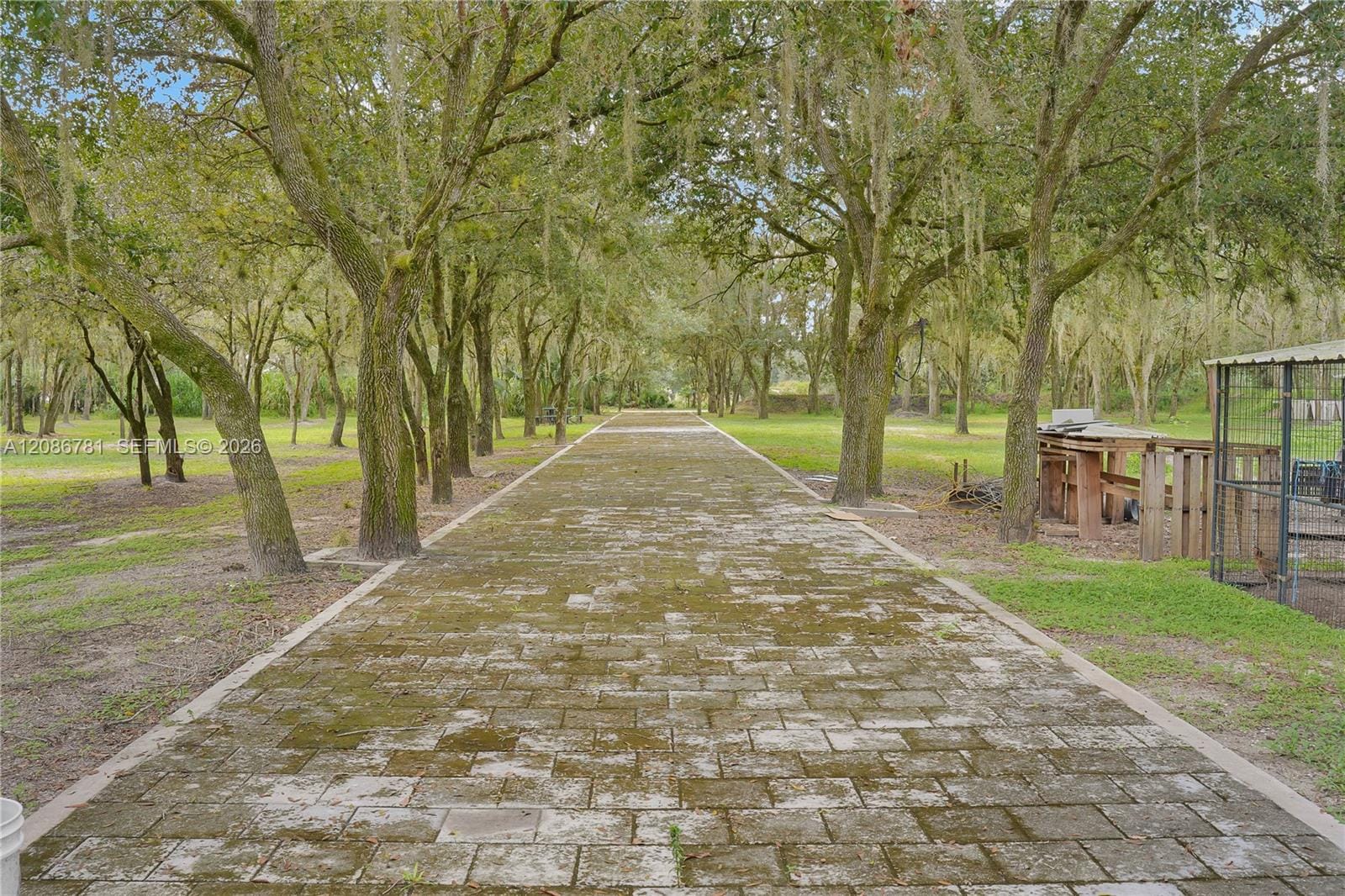 255 C Road, LaBelle, FL 33935 photo 17