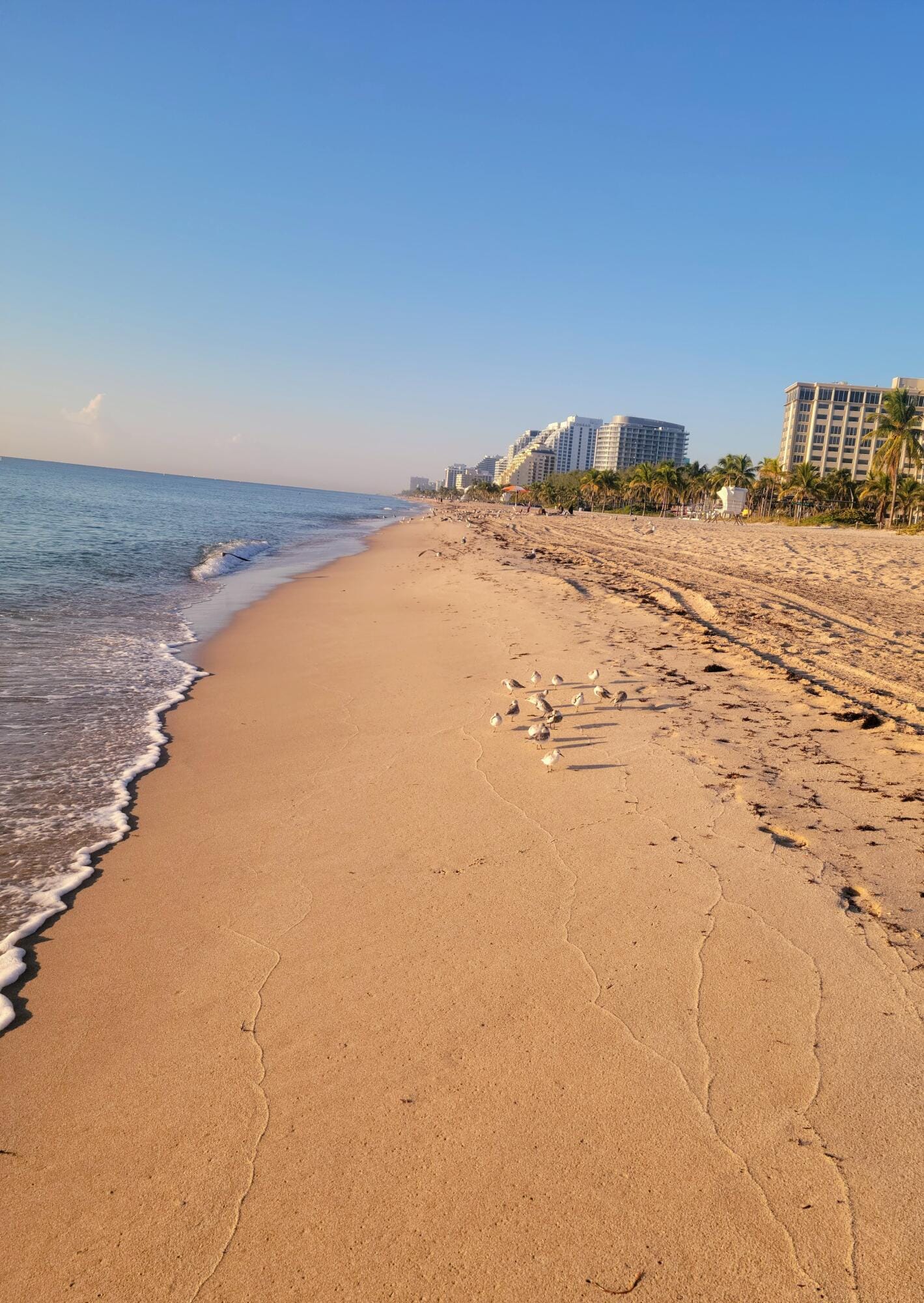 2715 N Ocean Boulevard N 16B, Fort Lauderdale, FL 33308 photo 26