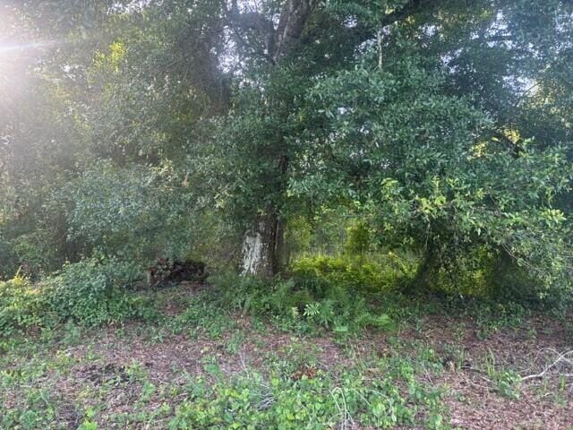 0 Nw 4th Street, Okeechobee, FL 34972 photo 3