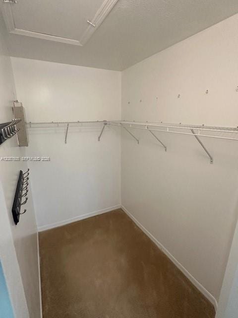 1271 SE 28th Court 203, Homestead, FL 33035 photo 13