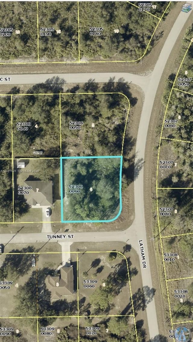 710 Tunney Street, Lehigh Acres, FL 33972