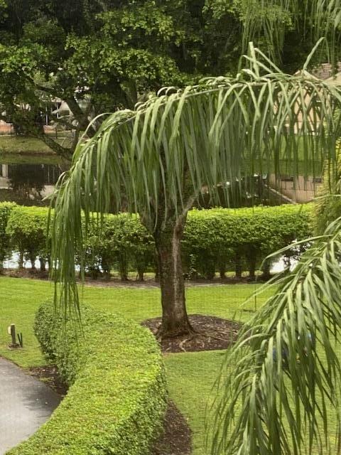 20080 Boca West Drive 448 — photo 3