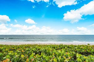 2000 S Ocean Boulevard, Palm Beach, FL 33480 photo 23