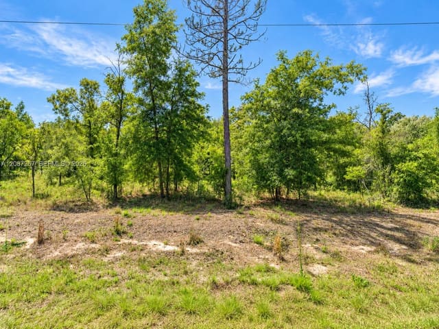 TBD NW Tbd Columbine Avenue, FL 34431