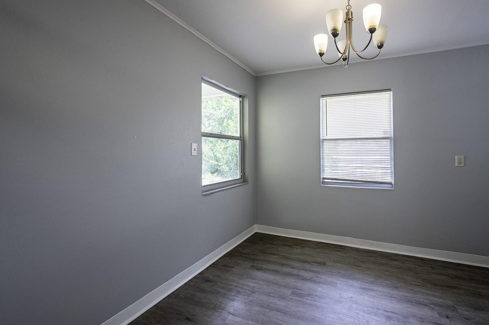 5136 Studio Drive, Zephyrhills, FL 33542 photo 13
