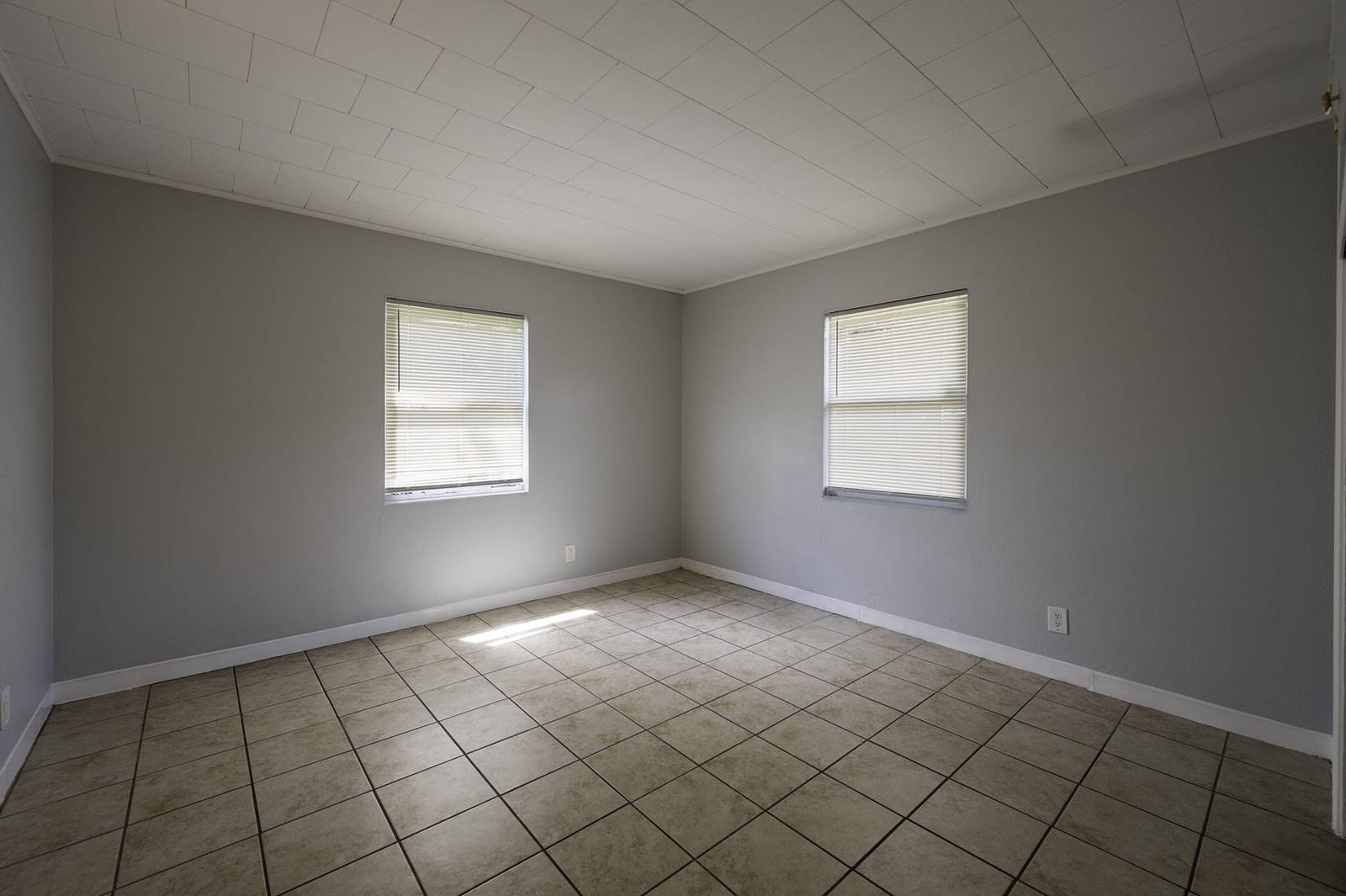 5136 Studio Drive, Zephyrhills, FL 33542 photo 18