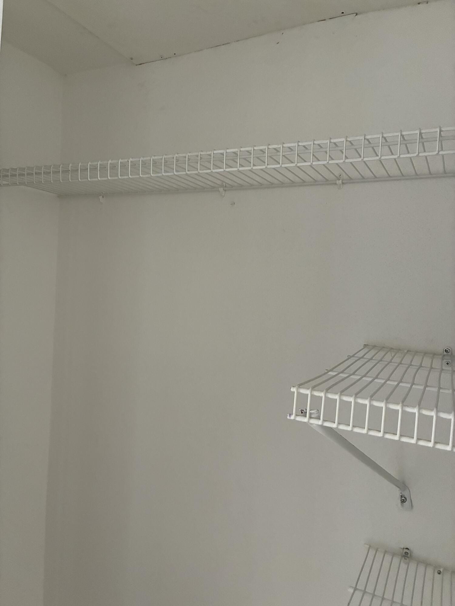 511 MONACO K — photo 12
