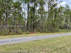 222 Oleander Drive, Lake Wales, FL 33898 photo 15