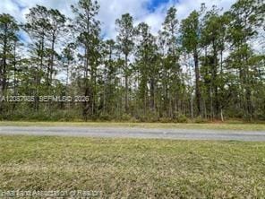 222 Oleander Drive, Lake Wales, FL 33898 photo 3