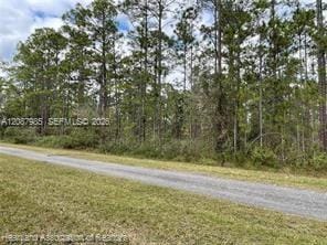 222 Oleander Drive, Lake Wales, FL 33898 photo 5