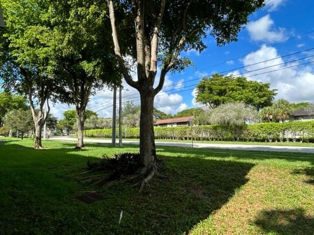 9351 LIME BAY Boulevard 215 — photo 3