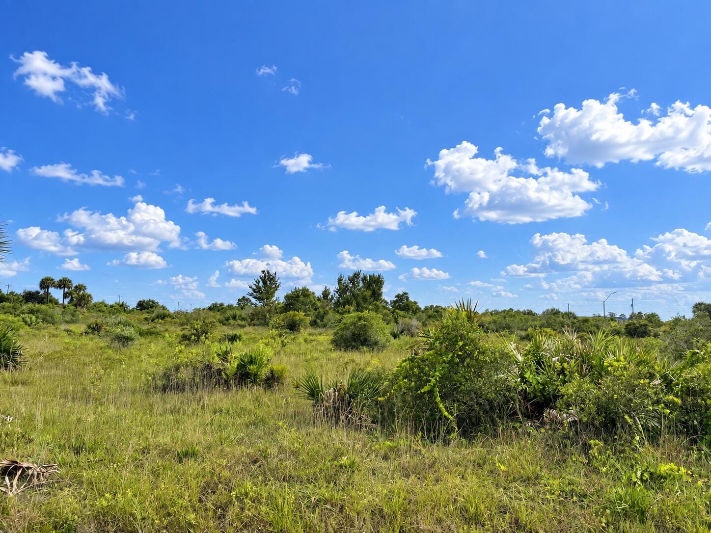 14516 NW 280TH Street, Okeechobee, FL 34972 photo 2