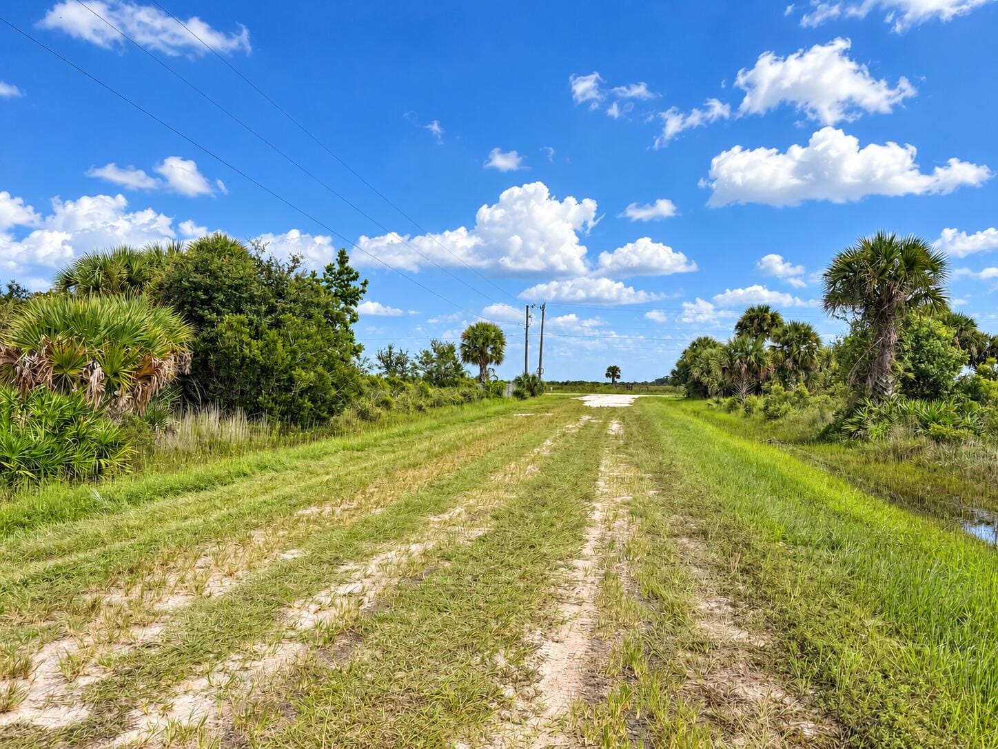 14516 NW 280TH Street, Okeechobee, FL 34972 photo 11