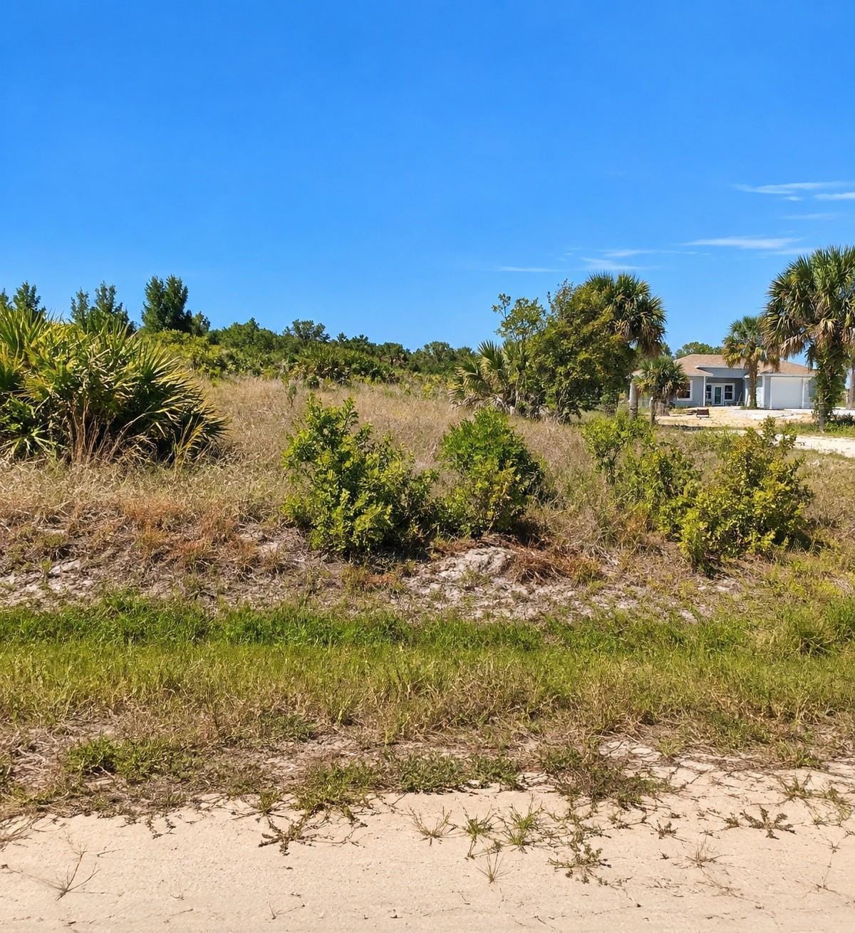 14516 NW 280TH Street, Okeechobee, FL 34972 photo 13
