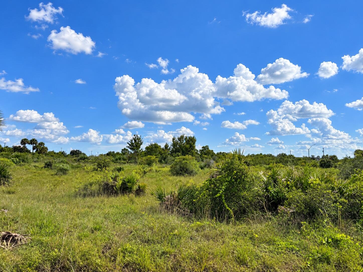 14516 NW 280TH Street, Okeechobee, FL 34972 photo 4