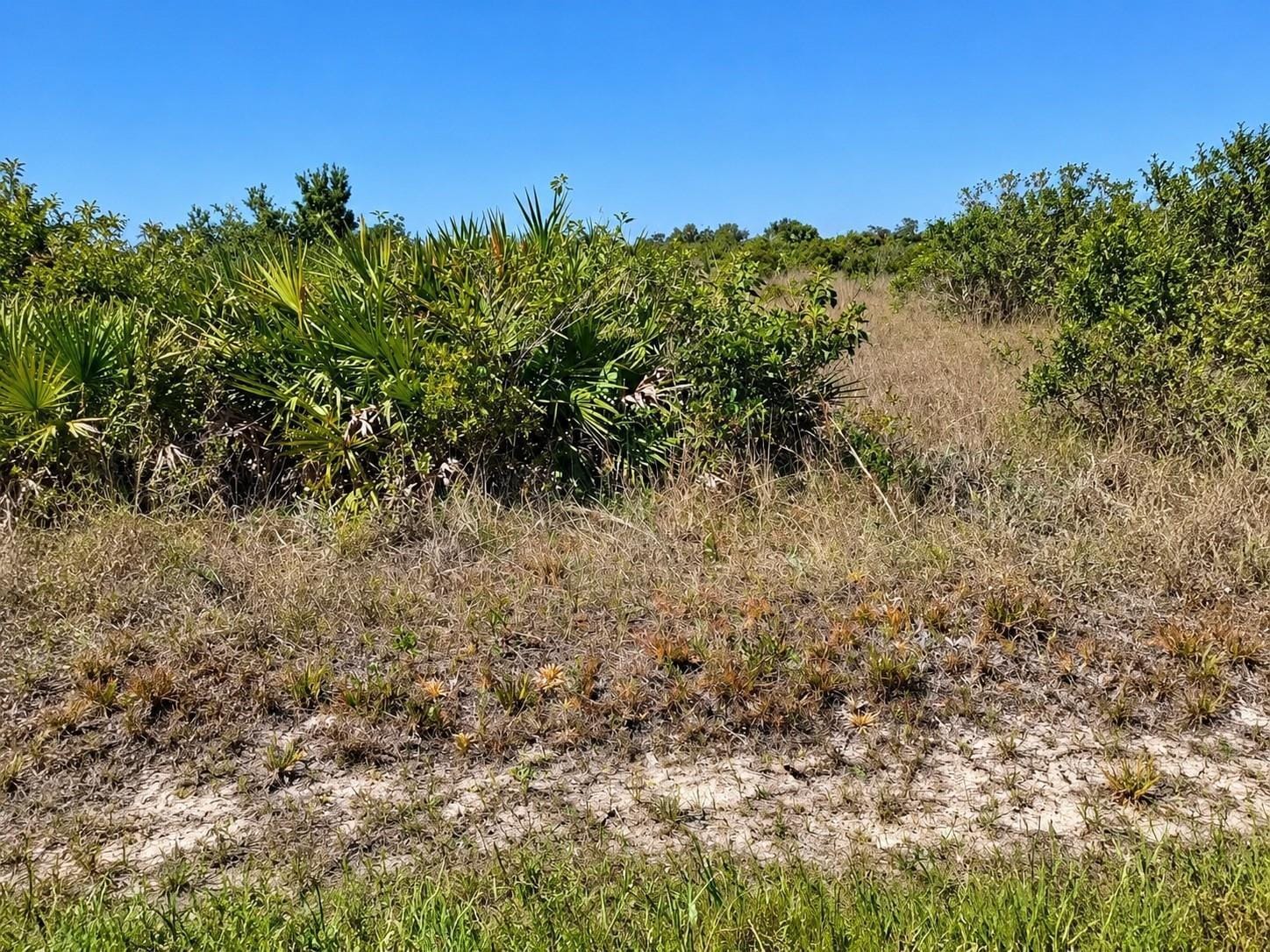 14516 NW 280TH Street, Okeechobee, FL 34972 photo 9