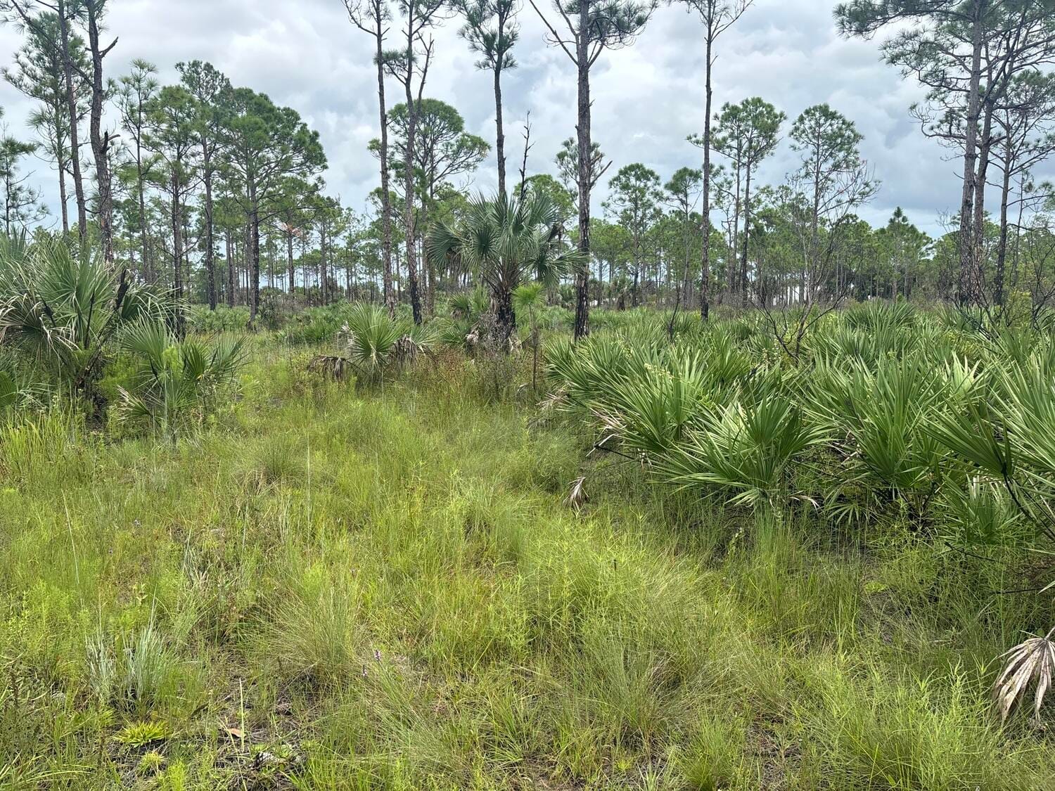0 grant Road, Grant Valkaria, FL 32909 photo 2