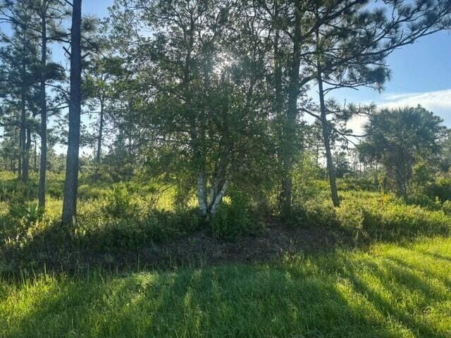 0 grant Road, Grant Valkaria, FL 32909 photo 3