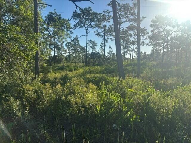 0 grant Road, Grant Valkaria, FL 32909 photo 4