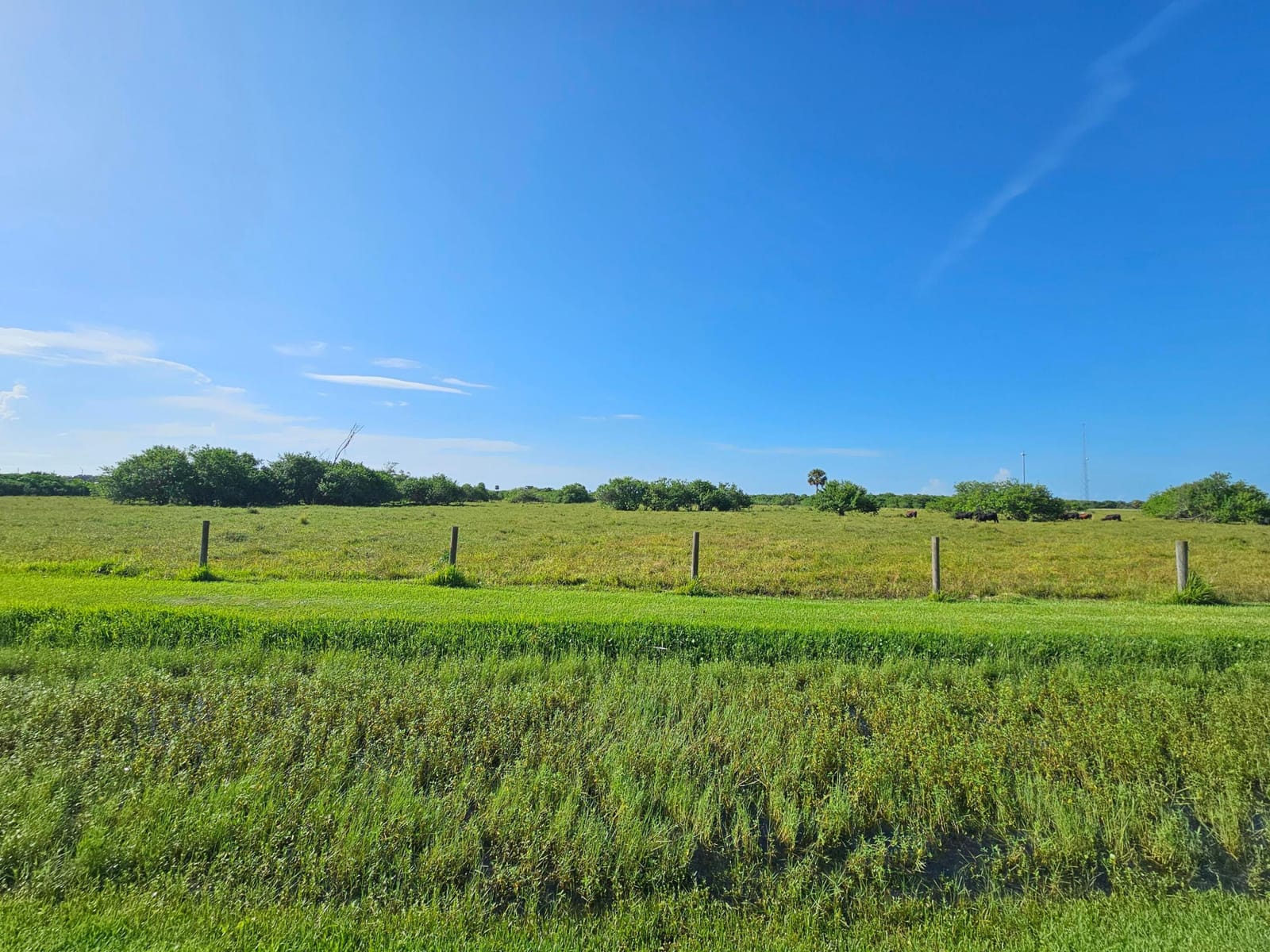 904 SW 44th Boulevard, Okeechobee, FL 34974 photo 15