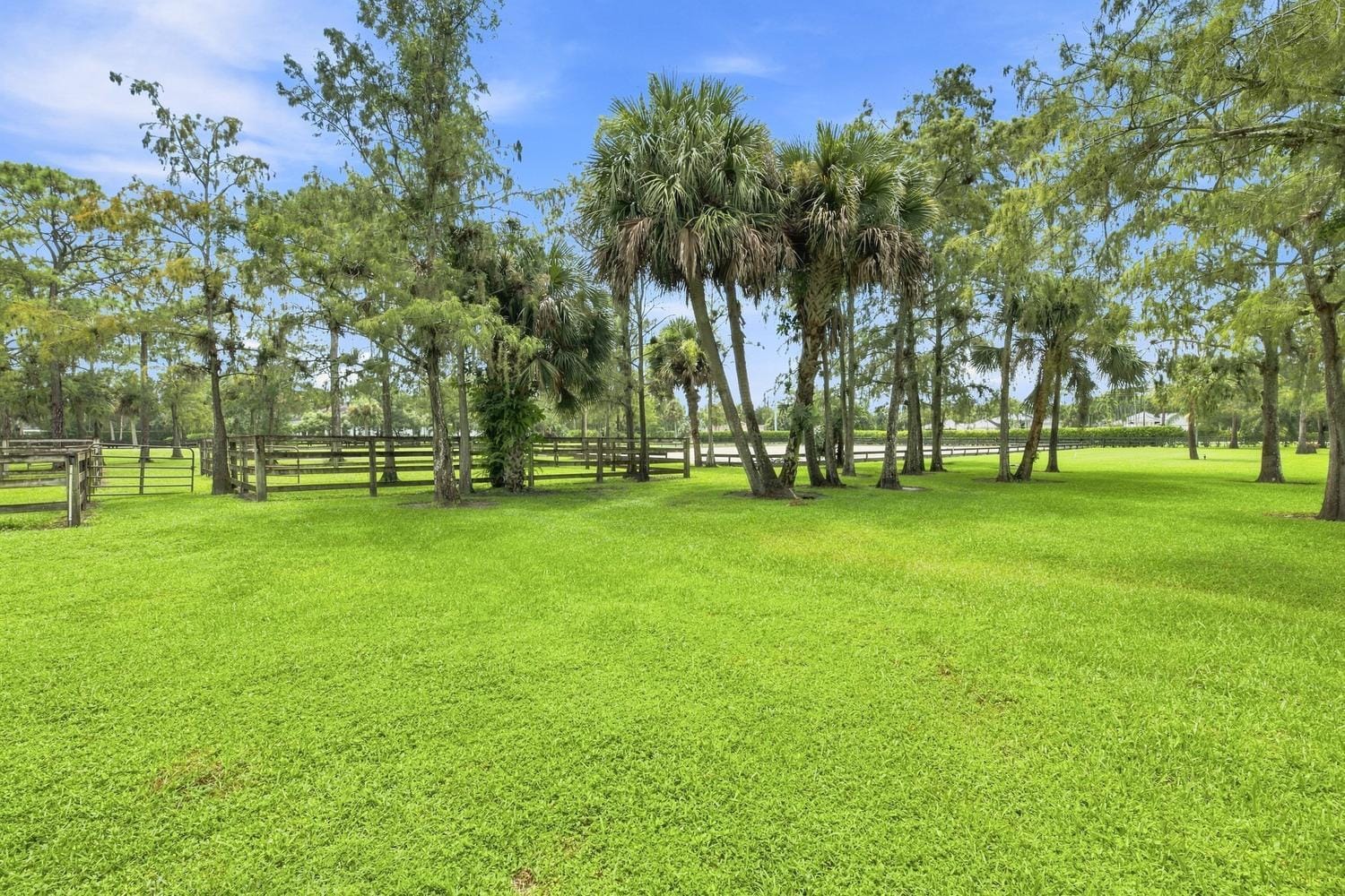 14902 PADDOCK Drive, Wellington, FL 33414 photo 24