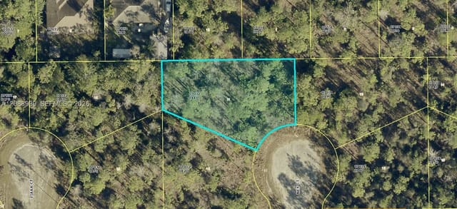 1905 Ney Court, Lehigh Acres, FL 33972