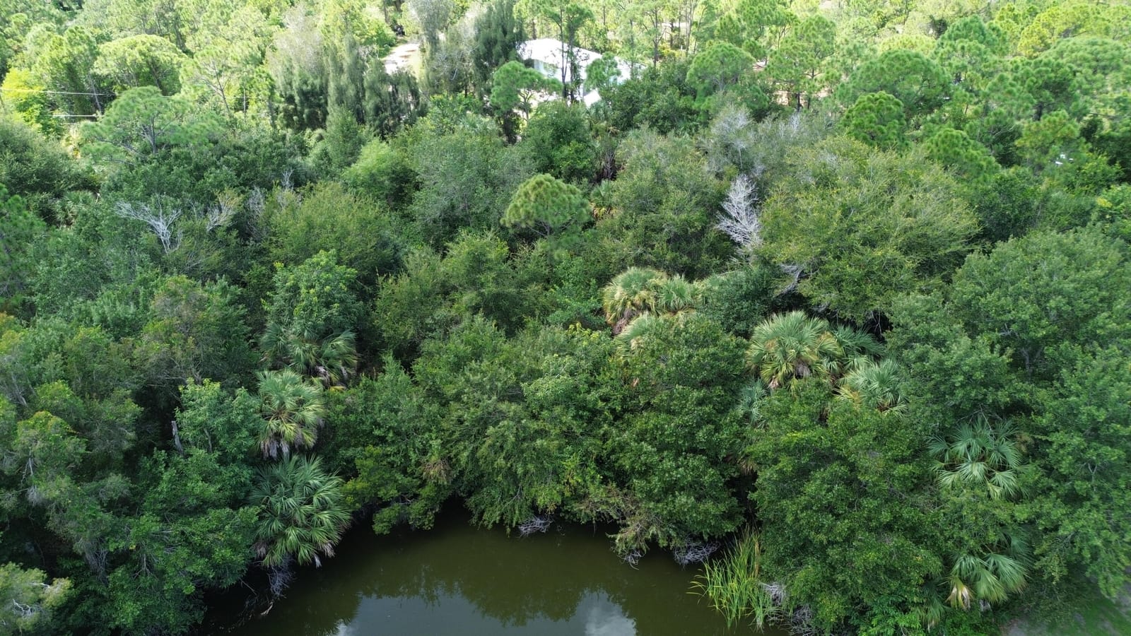12094 BORAX Avenue, Punta Gorda, FL 33955 photo 13