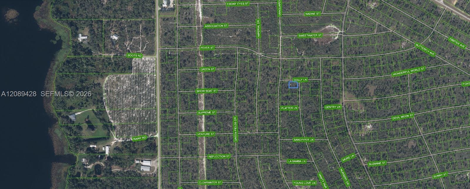 305 Dolly Lane, Lake Placid, FL 33852 photo 2