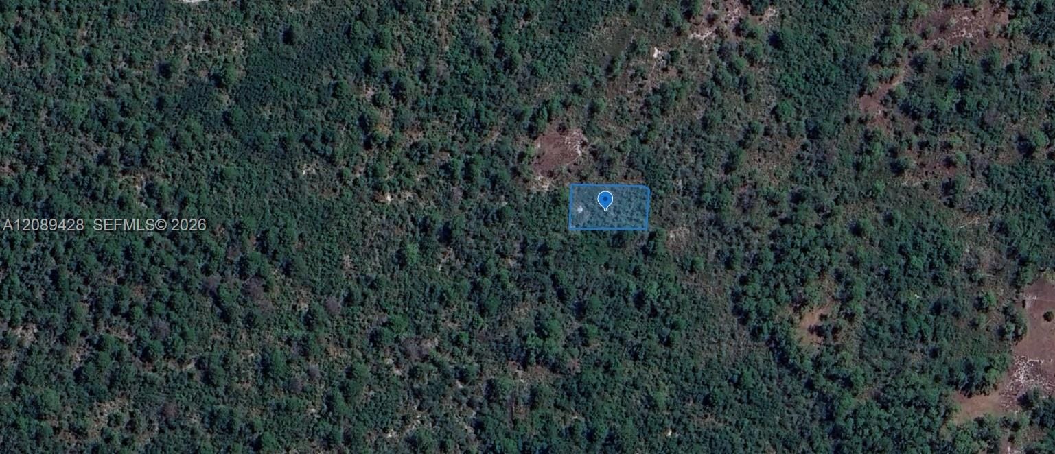 305 Dolly Lane, Lake Placid, FL 33852 photo 4