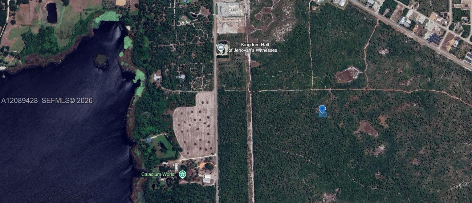 305 Dolly Lane, Lake Placid, FL 33852 photo 5