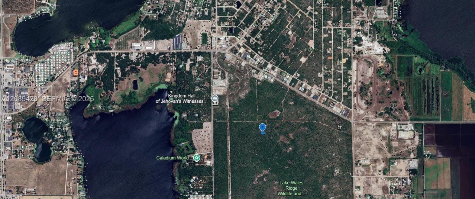 305 Dolly Lane, Lake Placid, FL 33852 photo 6