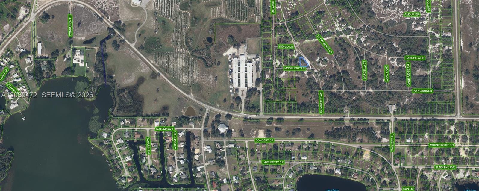 432 Moonlight Lane, Lake Placid, FL 33852 photo 6