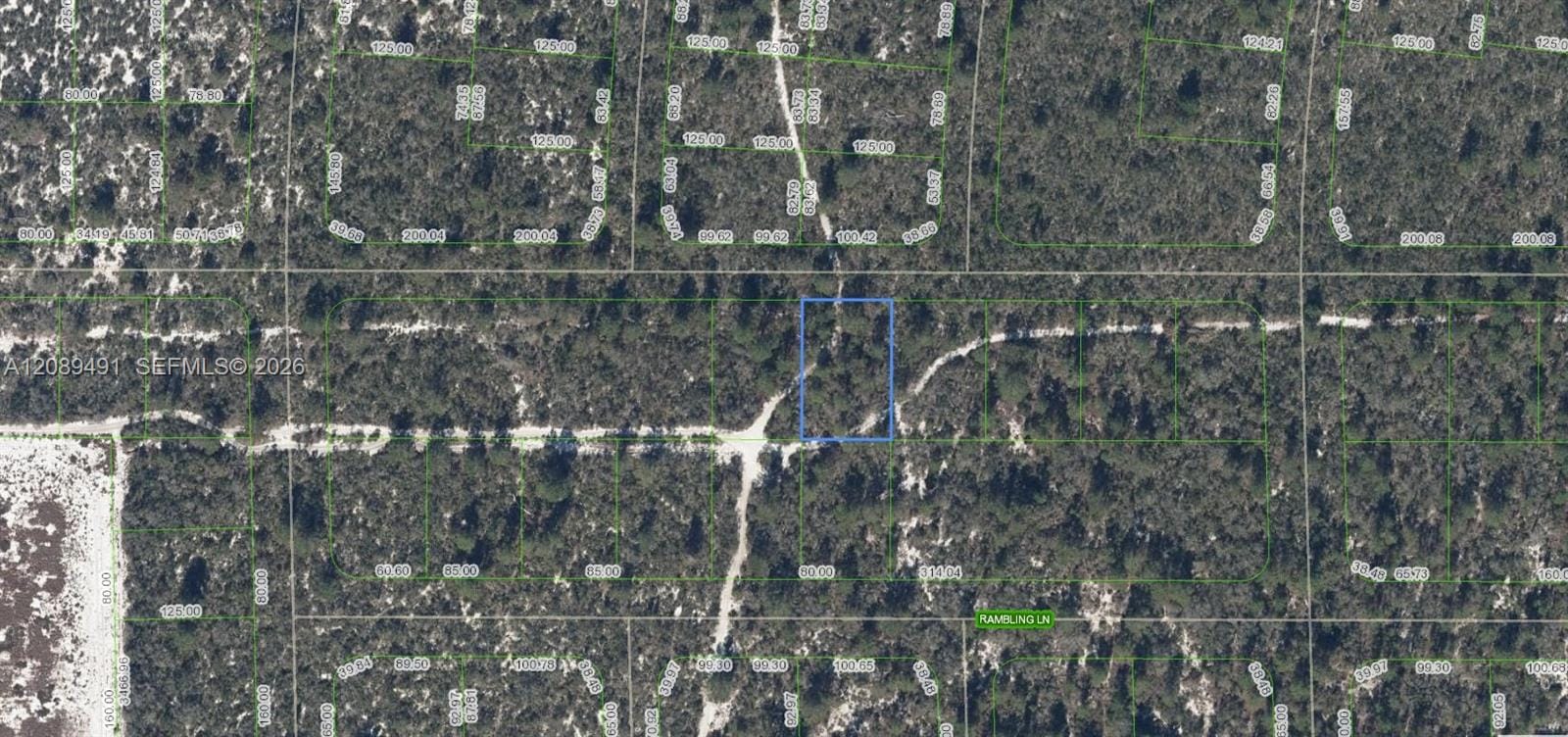 437 Souvenir Lane, Lake Placid, FL 33852 photo 1