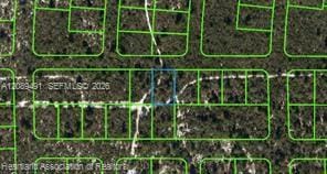 437 Souvenir Lane, Lake Placid, FL 33852 photo 4