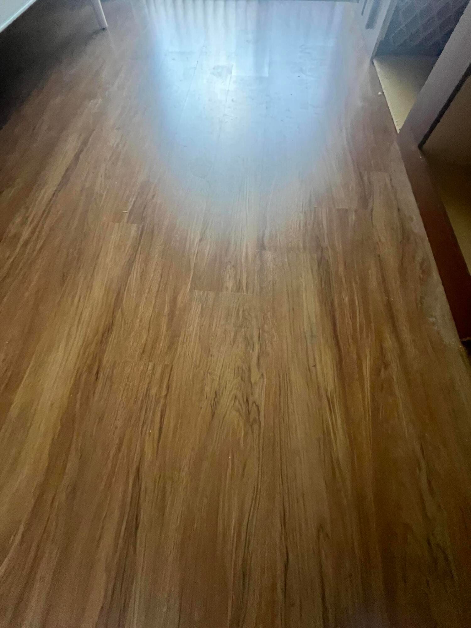 336 BRITTANY G Avenue — photo 5