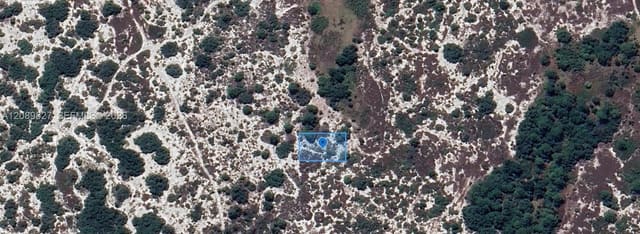 462 Isle Of Capri Lane, Lake Placid, FL 33852