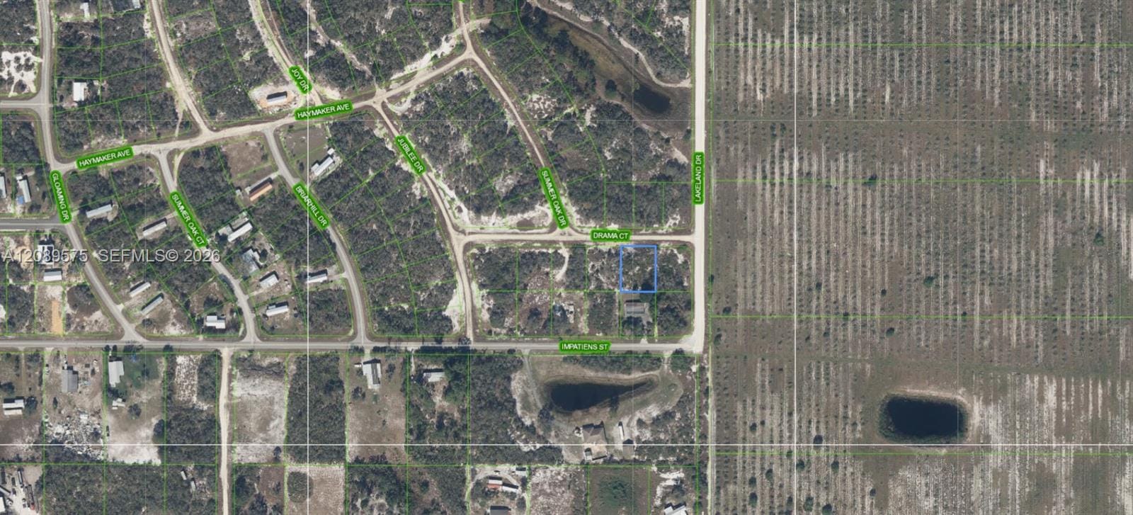 509 Drama Court, Lake Placid, FL 33852 photo 5