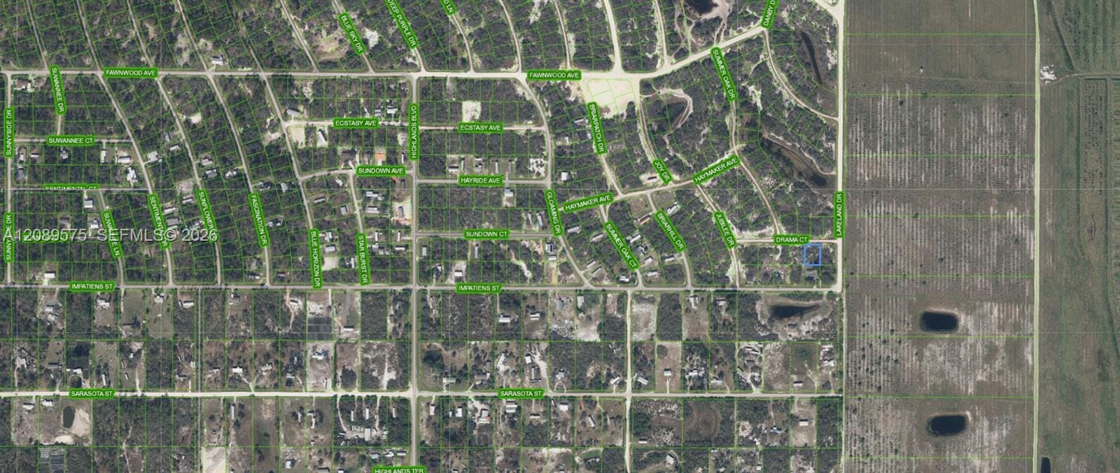 509 Drama Court, Lake Placid, FL 33852 photo 6