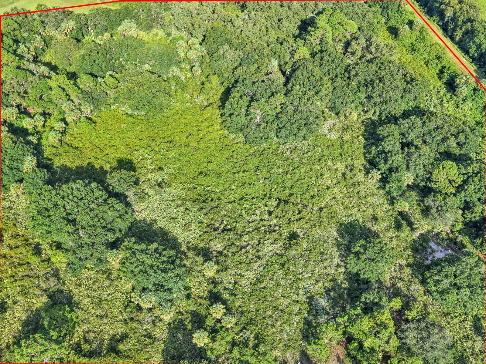 1000 NW 38th Avenue, Okeechobee, FL 34972 photo 12