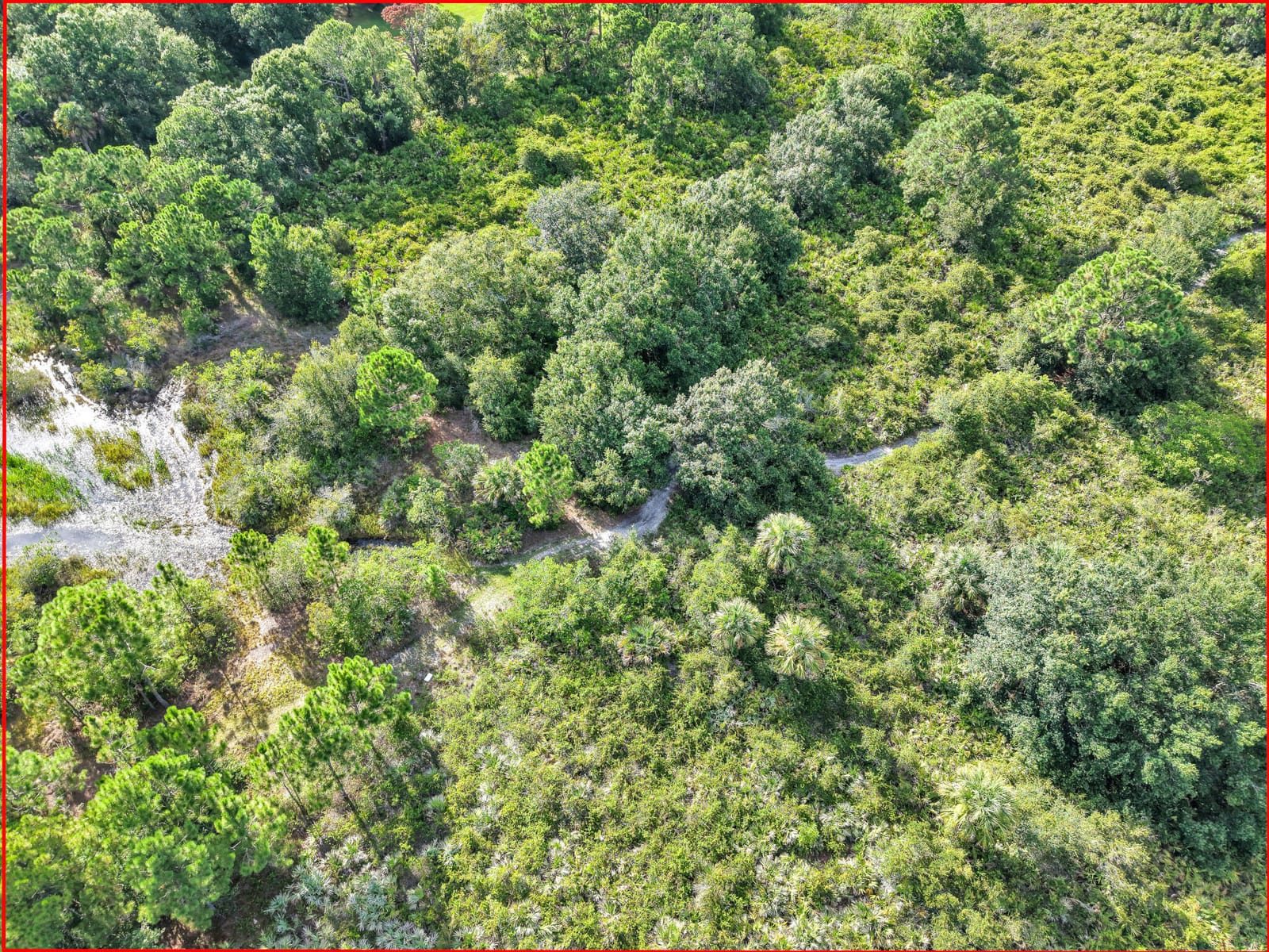 1000 NW 38th Avenue, Okeechobee, FL 34972 photo 16